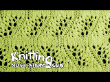 Japanese Feather Stitch